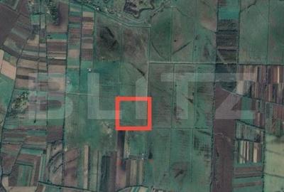Teren de 133728 mp, în Agriș