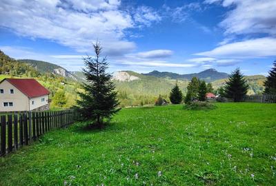 Teren de 2050 mp, în Bicaz-Chei