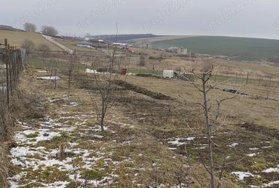 Teren de 500 mp, în Central