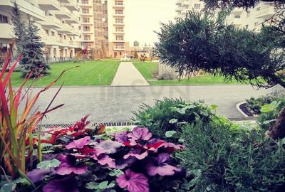 Apartament cu 3 camere decomandat în Domenii - 1