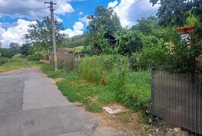 Teren de 3500 mp, în Viforâta - 3