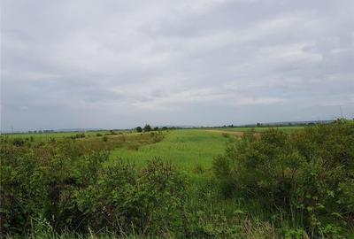Teren de 31015 mp, în Căteasca