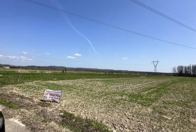 Teren de 4762 mp, în Stoilești - 5