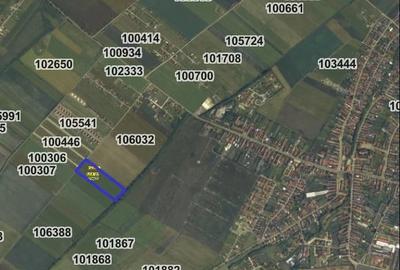 Teren de 25000 mp, în Hălchiu