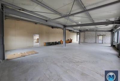 Spațiu industrial, de 798.54998779297 mp, în Exterior Vest - 11