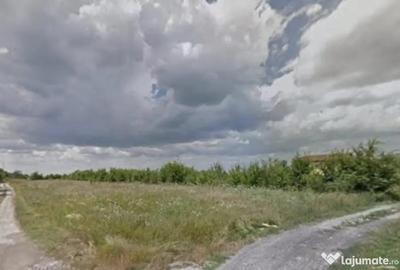 Teren de 5000 mp, în Măgurele