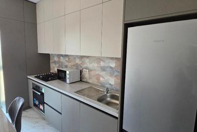 Apartament cu 2 camere decomandat, mobilat în Tătărași - 2
