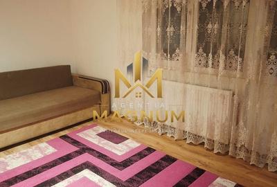 Apartament cu 2 camere semidecomandat în Săsar - 7