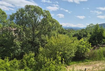 Teren agricol extravilan de 7800 mp, în Tohanu Nou - 4