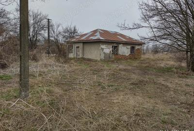 Casă cu Teren 4600 Mp în Central - 3