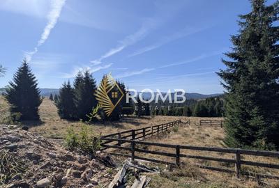 Teren Construcții intravilan de 1180 mp, în Beliș