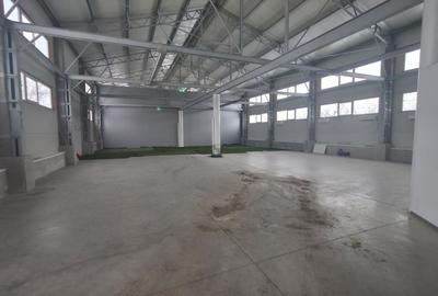 Spațiu industrial, în Iris - 4