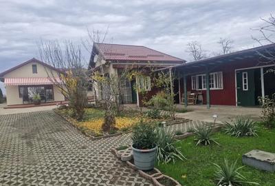 Casă cu 7 camere cu Teren 7250 Mp în Central - 7