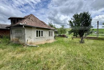 Casă cu Teren 5000 Mp în Drăculea Bandului - 1