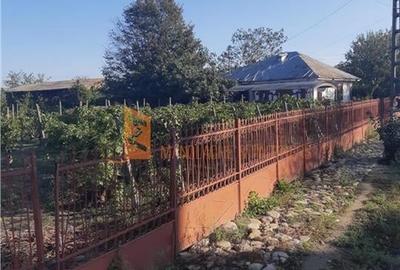 Casă individuală cu 4 camere cu Teren 2672 Mp în Râmnicelu - 5
