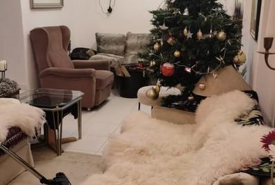 Casă cu 5 camere cu Teren 690 Mp în Gărâna - 5