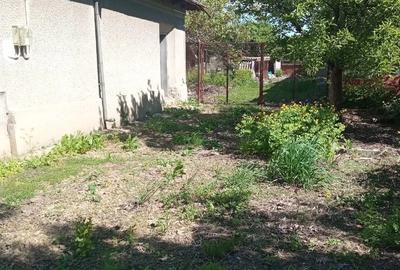 Casă cu 3 camere cu Teren 2588 Mp în Suhaia