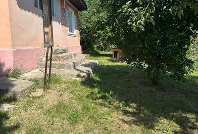 Casă individuală cu 3 camere cu Teren 5700 Mp în Pădureni (Grajduri) - 1
