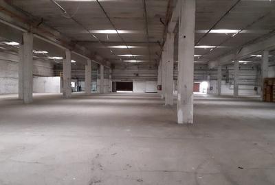 Spațiu industrial, de 12,000 mp, în Depozite - 2