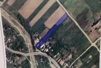 Casă cu 2 camere cu Teren 2325 Mp în Scornicești - 6