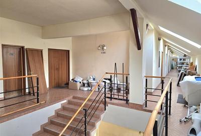 Spațiu comercial, de 1,066 mp, în Ultracentral - 28