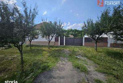 Casă cu 5 camere cu Teren 1627 Mp în Vinga - 1