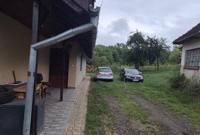 Casă cu 3 camere cu Teren 3300 Mp în Crișeni - 13