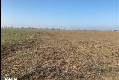 Teren de 70000 mp, în Cornești