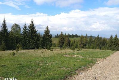 Teren de 700 mp, în Tiha Bârgăului - 12