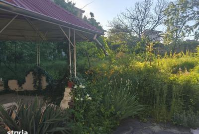 Casă cu 3 camere cu Teren 1056 Mp în Gheorghe Doja - 4