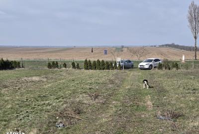 Casă cu 4 camere în Domnești-Târg - 2