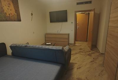 Garsonieră în Tineretului
