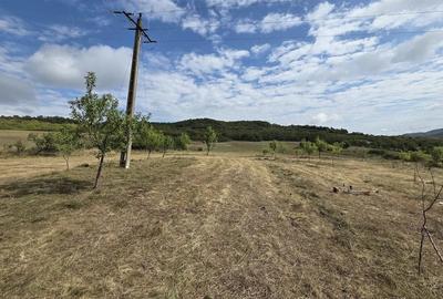 Teren de 6500 mp, în Central