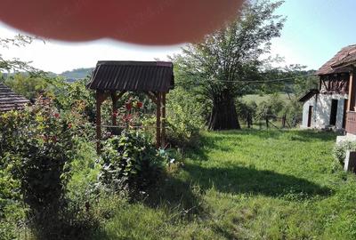 Casă cu 2 camere cu Teren 4120 Mp în Ilovu