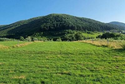 Teren de 5000 mp, în Gura Râului - 8