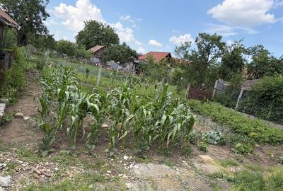 Casă cu 4 camere în Mihai Viteazu - 4