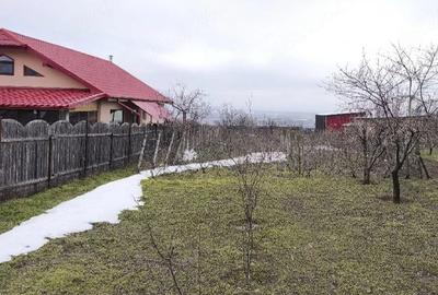 Teren de 1168 mp, în Frumușița - 5