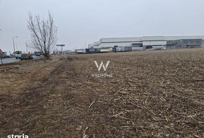 Teren de 20800 mp, în Vest - 4