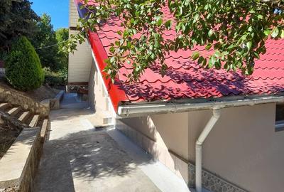Casă cu Teren 2440 Mp în Sasca Română