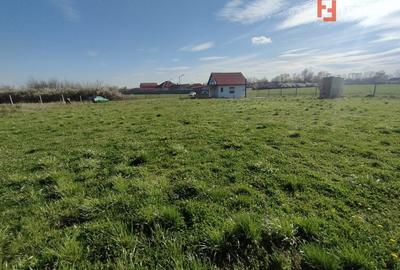 Teren agricol extravilan de 2600 mp, în Sânmihaiu Român - 7