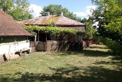 Casă cu 4 camere în Merii Petchii - 4