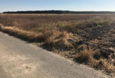 Teren de 7500 mp, în Buturugeni - 4