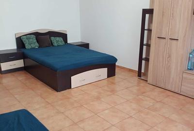 Garsonieră decomandată în Vitan