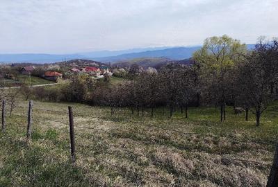 Teren de 2700 mp, în Ghelari