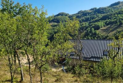Casă cu 3 camere în Blăjeni - 5