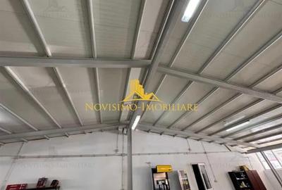 Spațiu industrial, de 580 mp, în Malu Roșu - 5