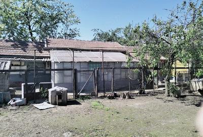 Casă cu 4 camere cu Teren 1850 Mp în Maia - 4