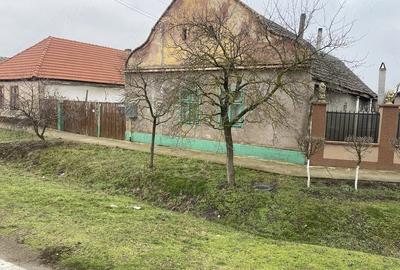 Casă cu Teren 863 Mp în Periam