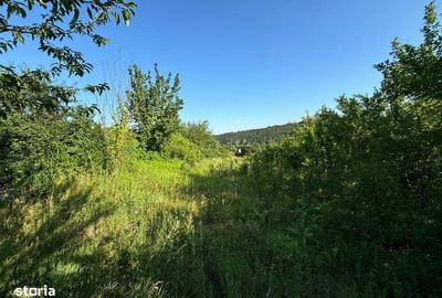 Teren de 2540 mp, în Valea Adâncă - 3
