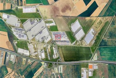 Spațiu comercial, de 150,000 mp, în Bolintin-Deal - 12